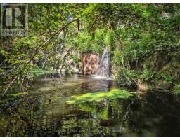 36 Bostwick Island, Leeds And The Thousand Islands, ON K0E1L0 Photo 44