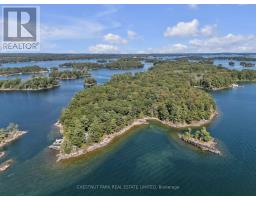 36 Bostwick Island, Leeds And The Thousand Islands, ON K0E1L0 Photo 48