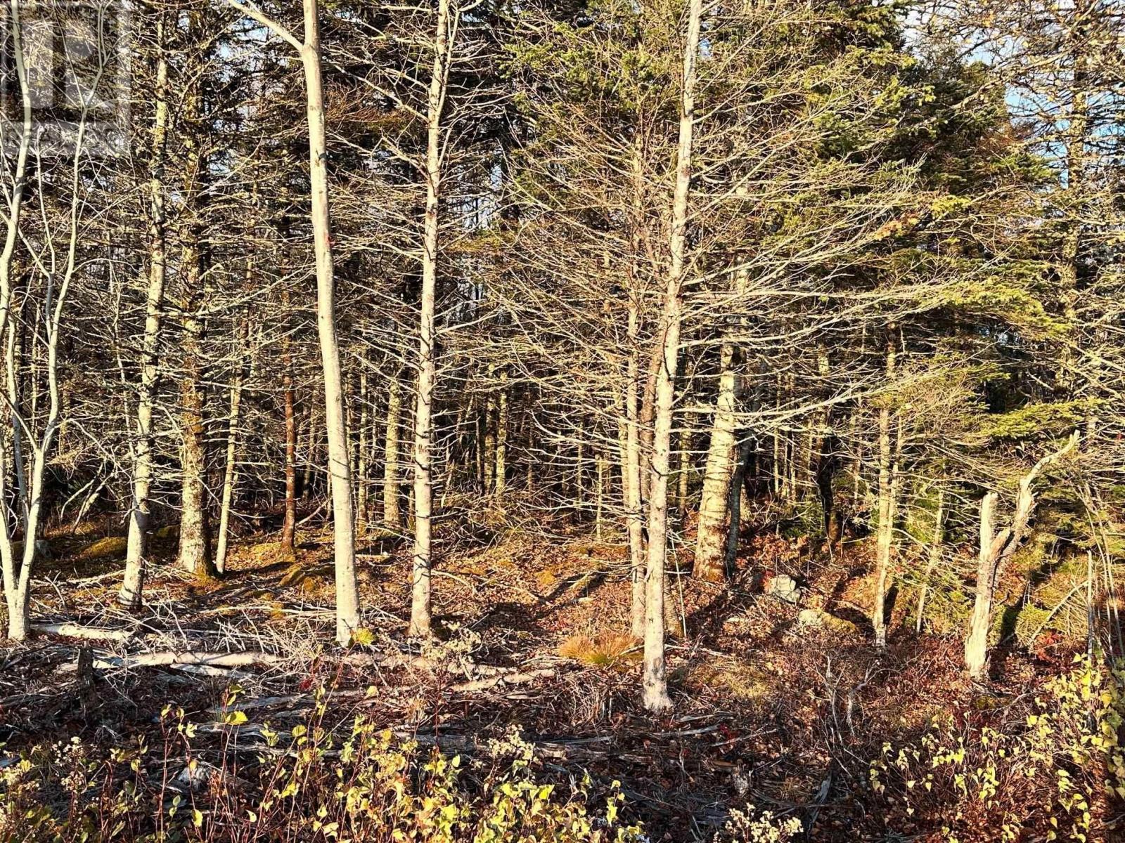 Property photo of Lot 1 Shore Road