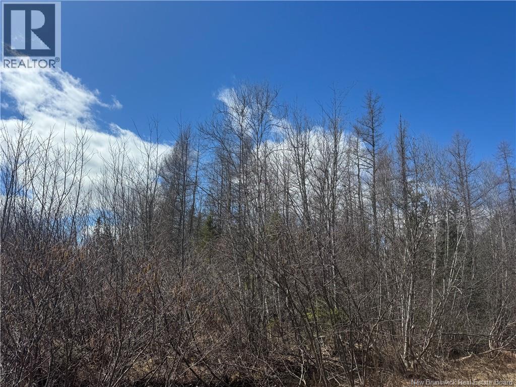 00 Dickson Road — photo 2