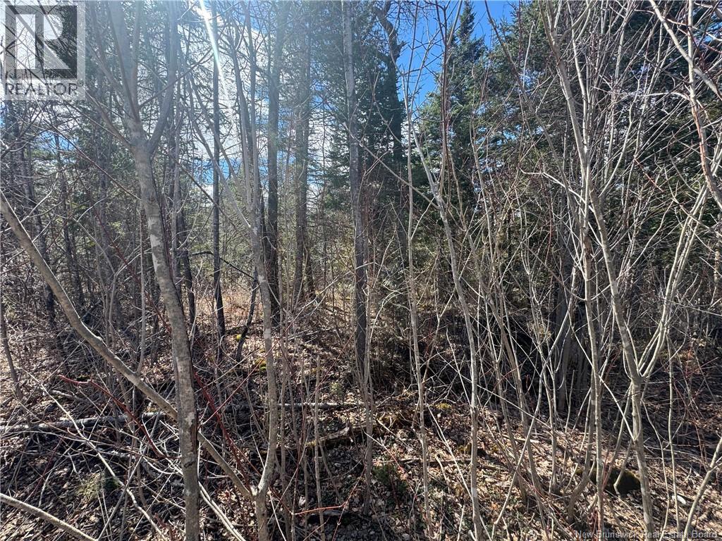 00 Dickson Road — photo 7