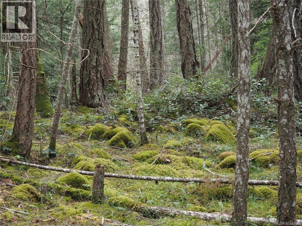 Lot 88 Sockeye Dr — photo 2