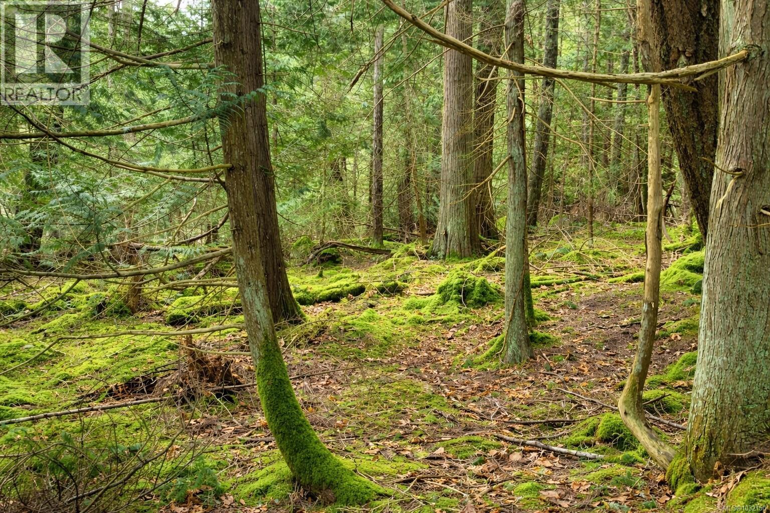 Lot 88 Sockeye Dr — photo 3