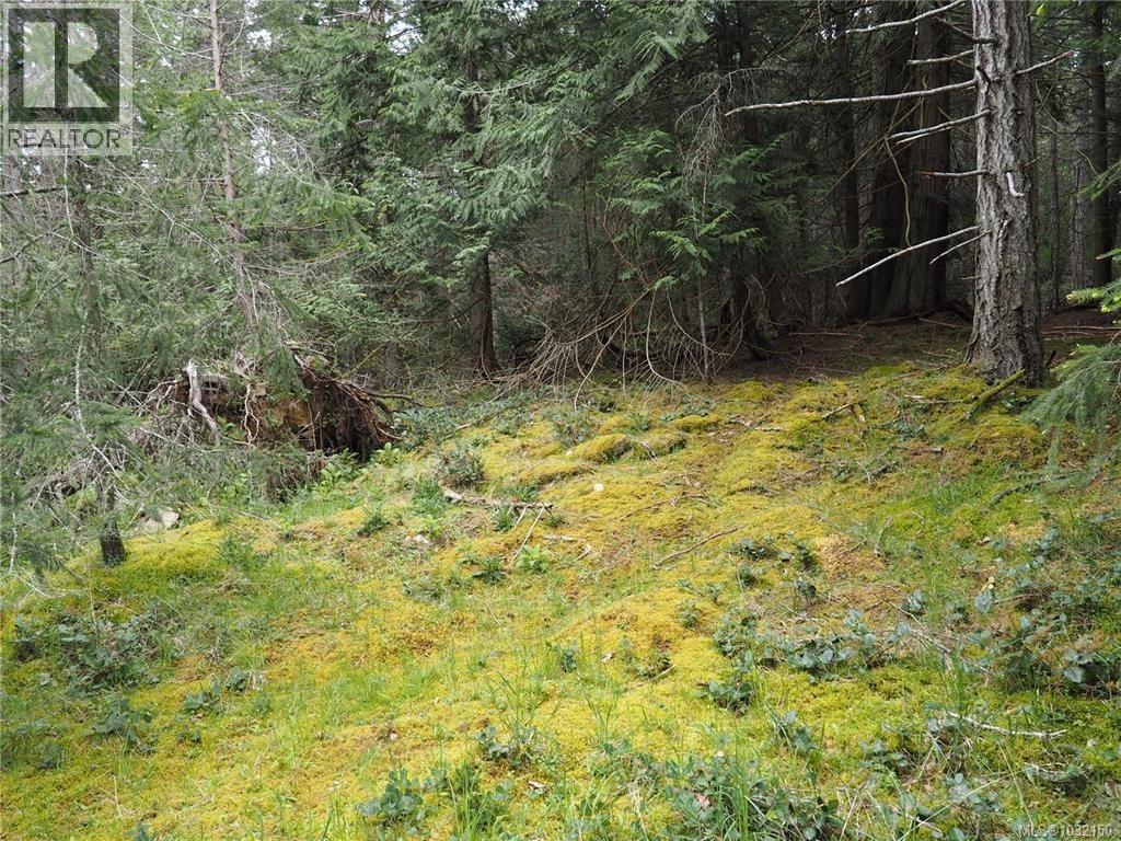 Lot 88 Sockeye Dr — photo 4