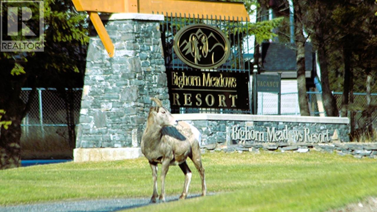 #813 B 800 BIGHORN BOULEVARD - 73