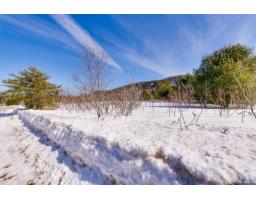 16 Ch. Du Tournesol, #4, Notre Dame Du Laus, QC J0X2M0 Photo 6