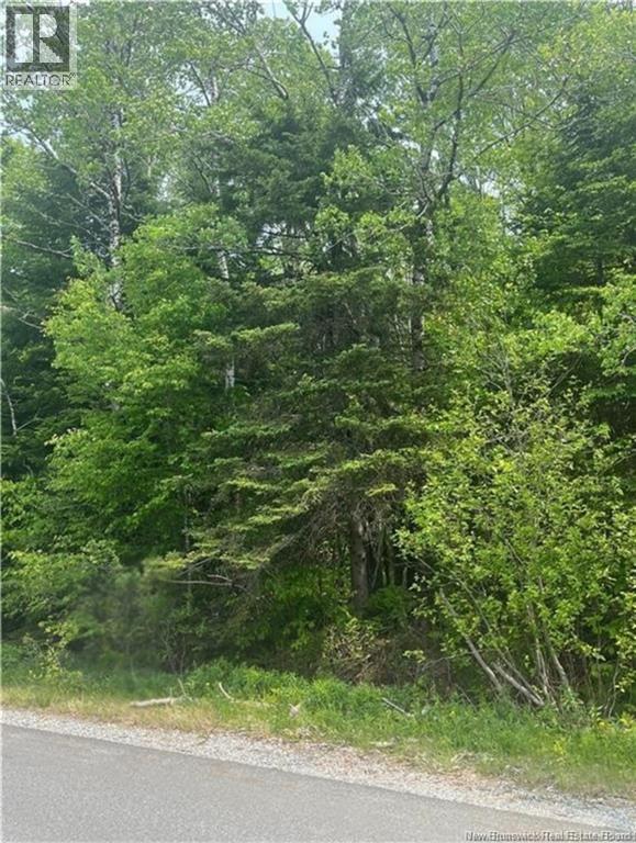 444 Bradley Lake Road