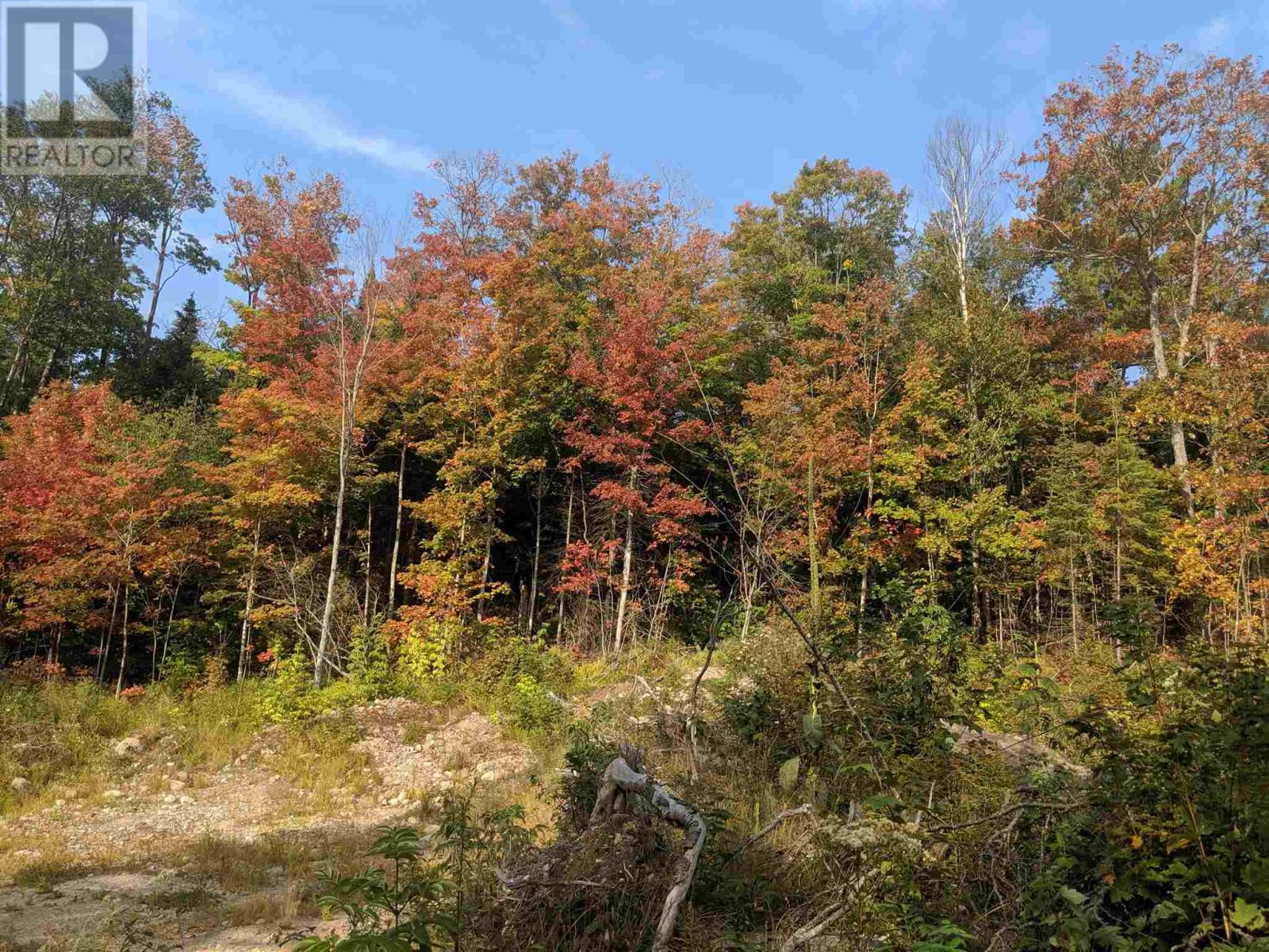 1408-1606 Sixth Line Ext, Plus 3 others