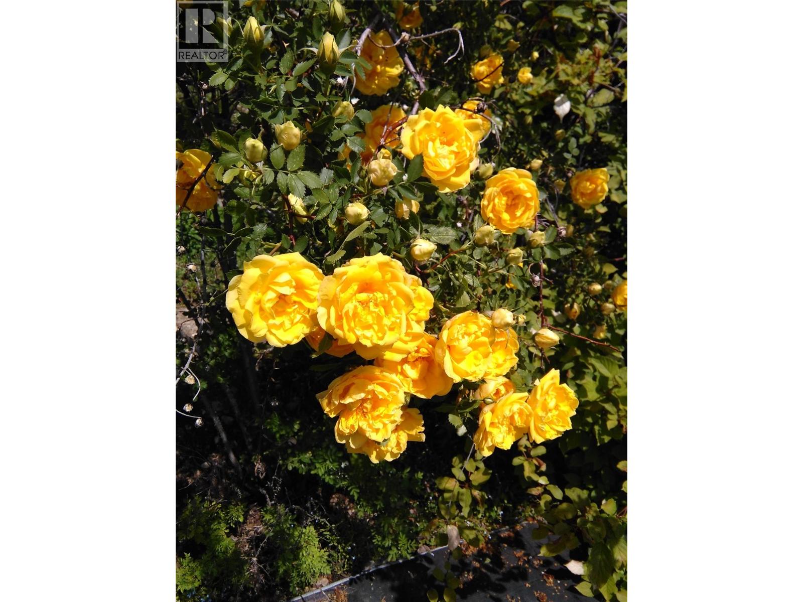 2873 SIMPSON ROAD - 63