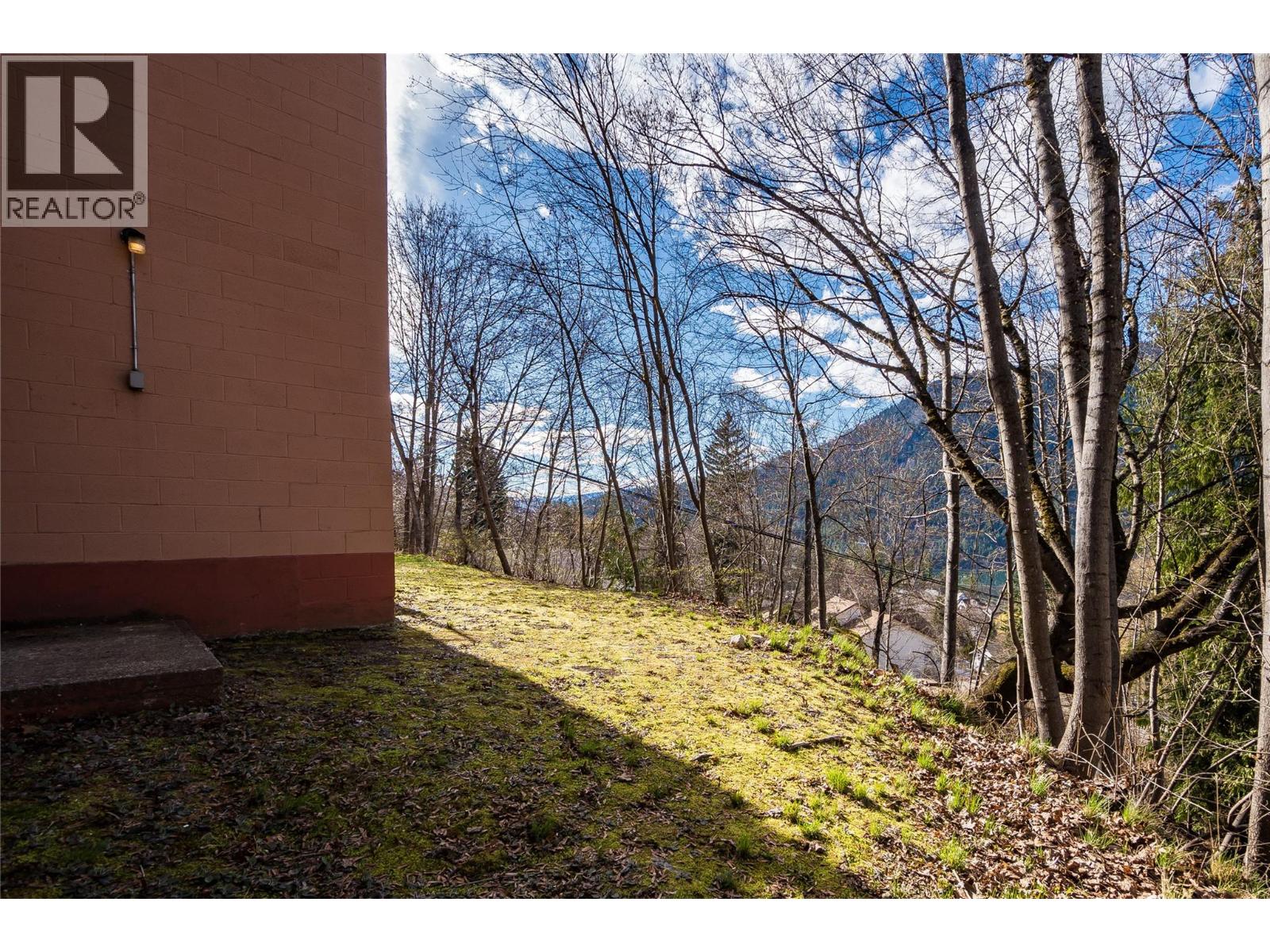 #402 191 TREVOR STREET - 42