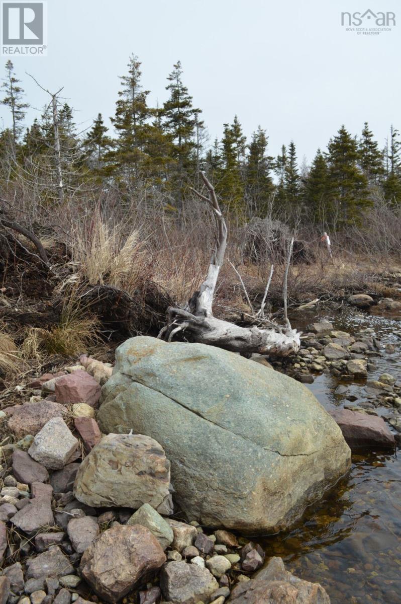 Property 12 of 21 of 2021-3 Morningview Lane