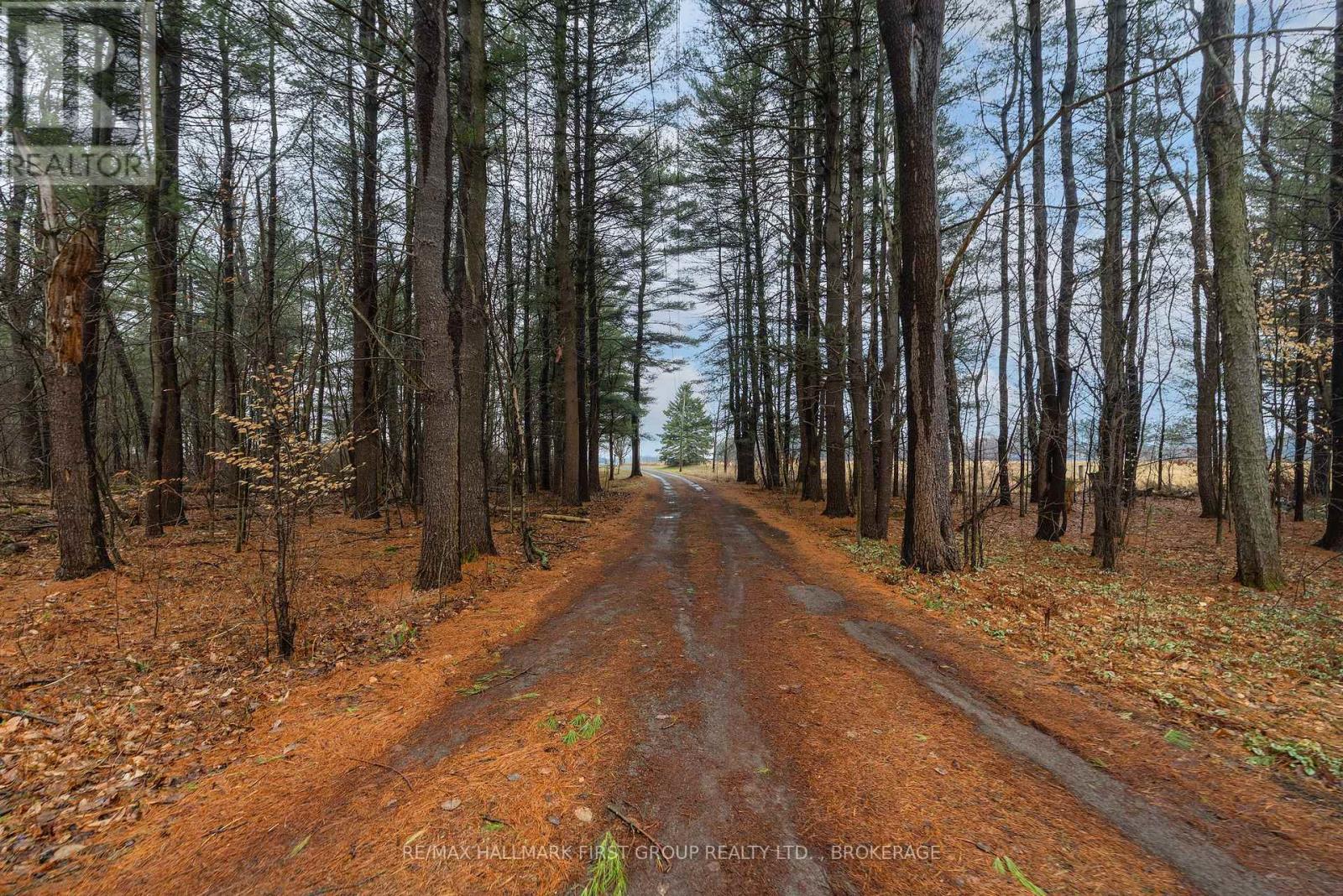 3980 BREWERS MILLS ROAD — photo 35