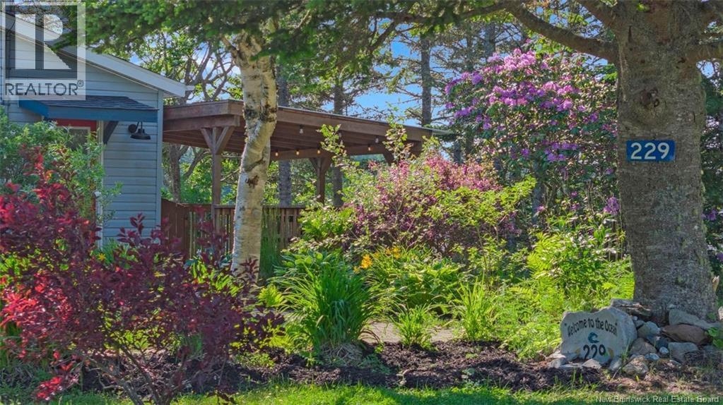 229 McCarthy's Point Road — photo 34