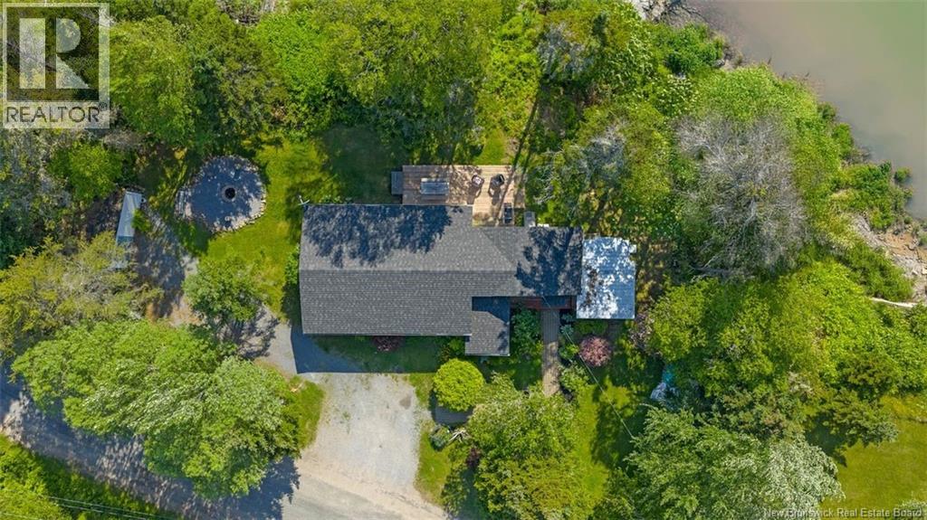 229 McCarthy's Point Road — photo 37