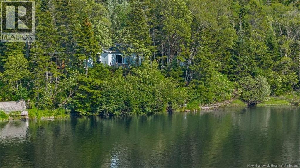 229 McCarthy's Point Road — photo 39