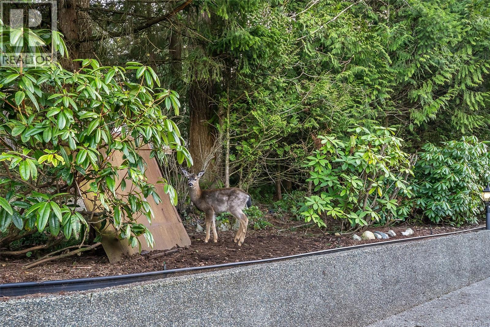 5060 LOST LAKE RD - 57