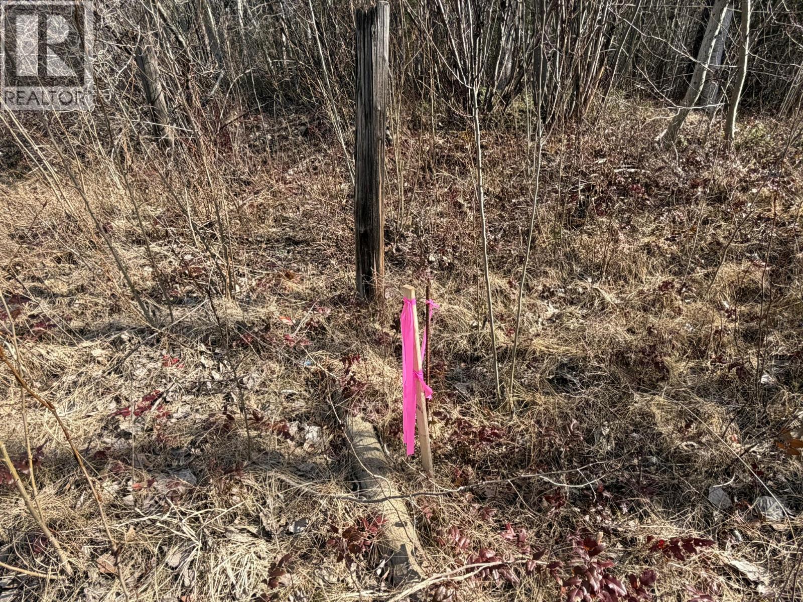 1841 50 STREET NW - 86