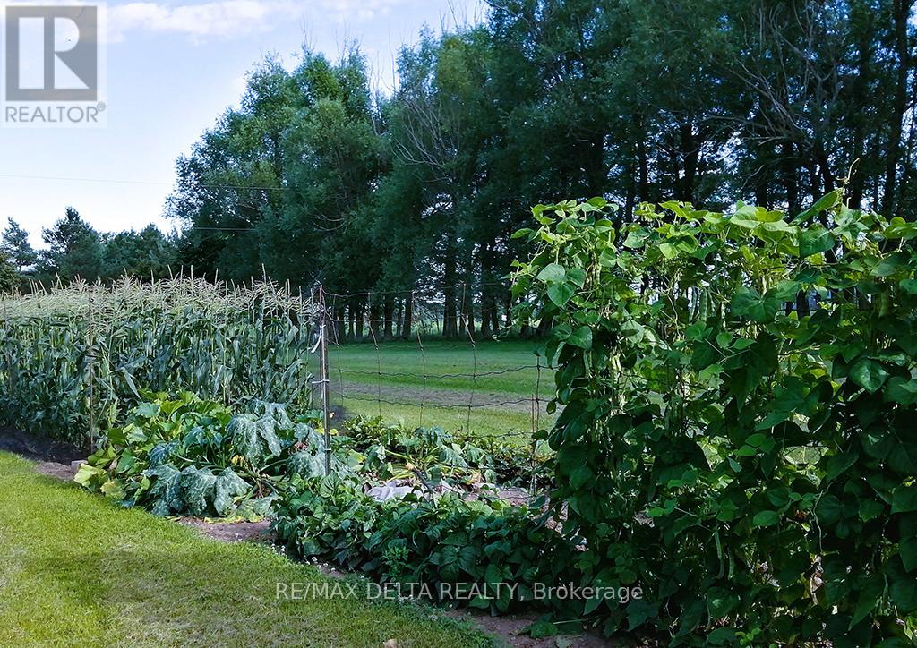 2685 CONCESSION 7 ROAD, East Hawkesbury, Ontario, K0B1P0 — Photo 30