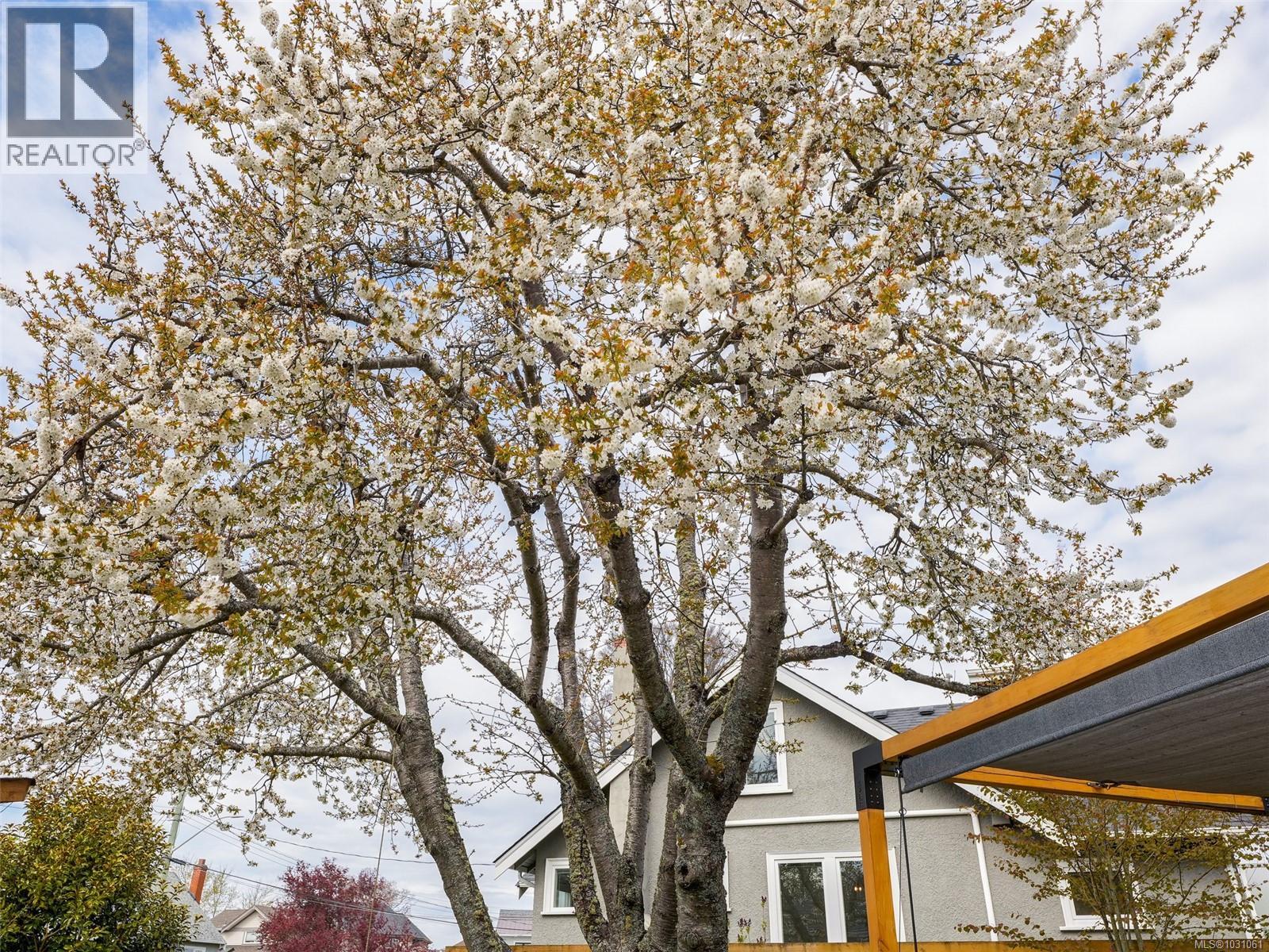  2420 Bowker Avenue, Oak Bay