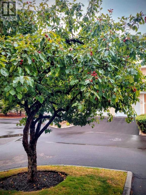 Single Family House 4 Level for Sale in  Hawkstone Manor NW Hawkwood Calgary 