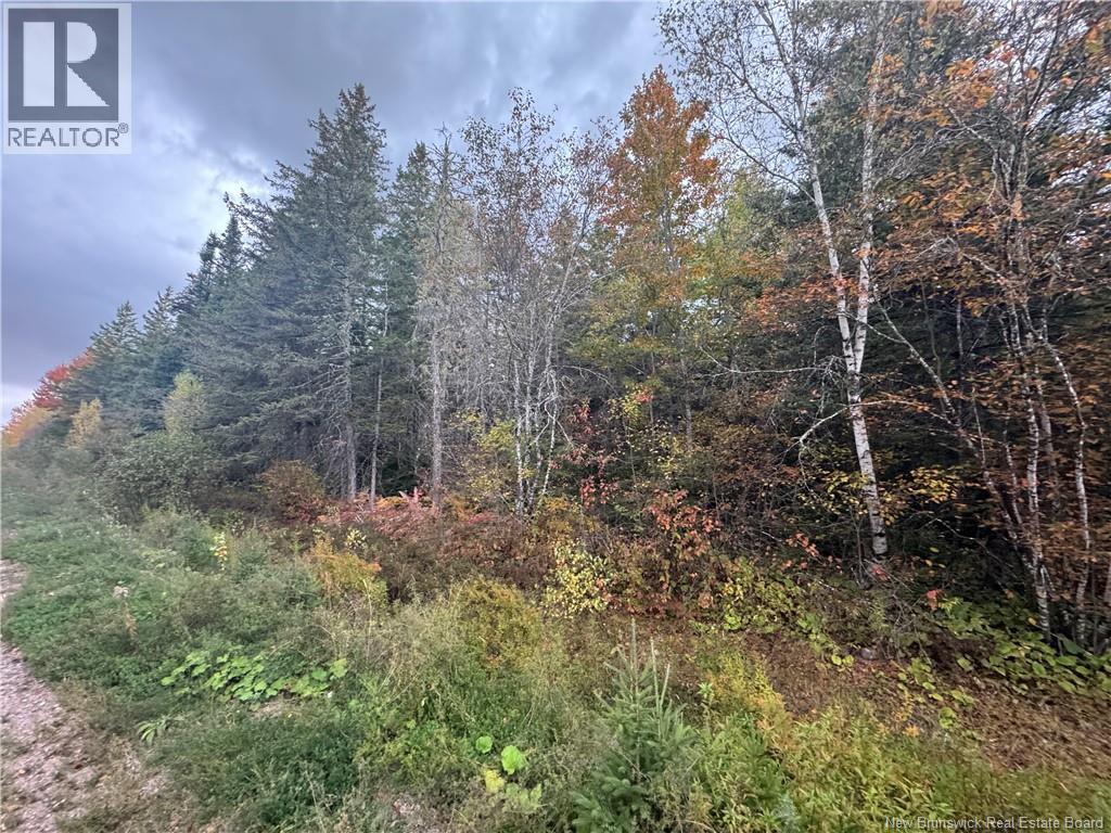 Salem Road — photo 4