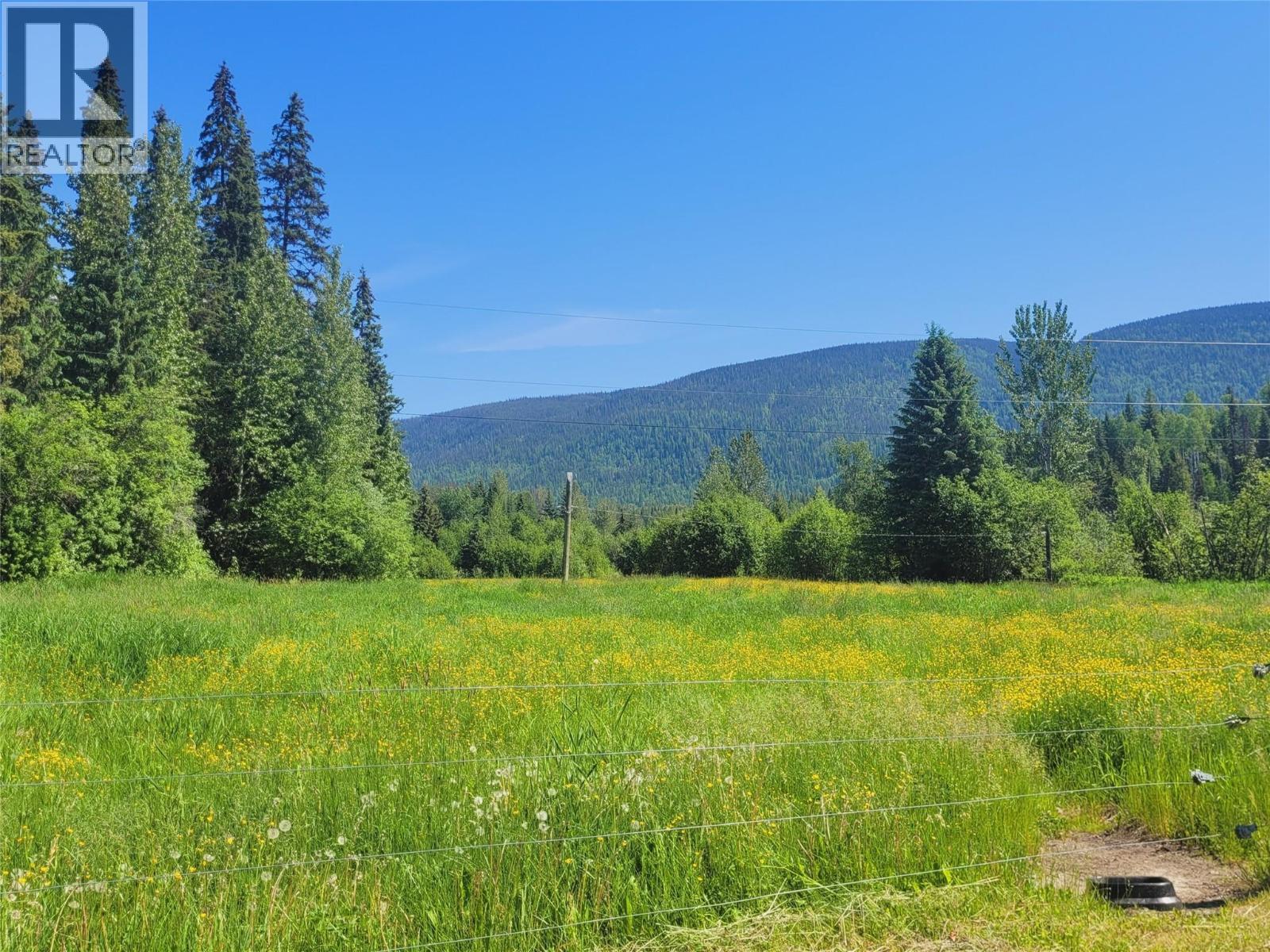 6177 TROUT CREEK ROAD - 34