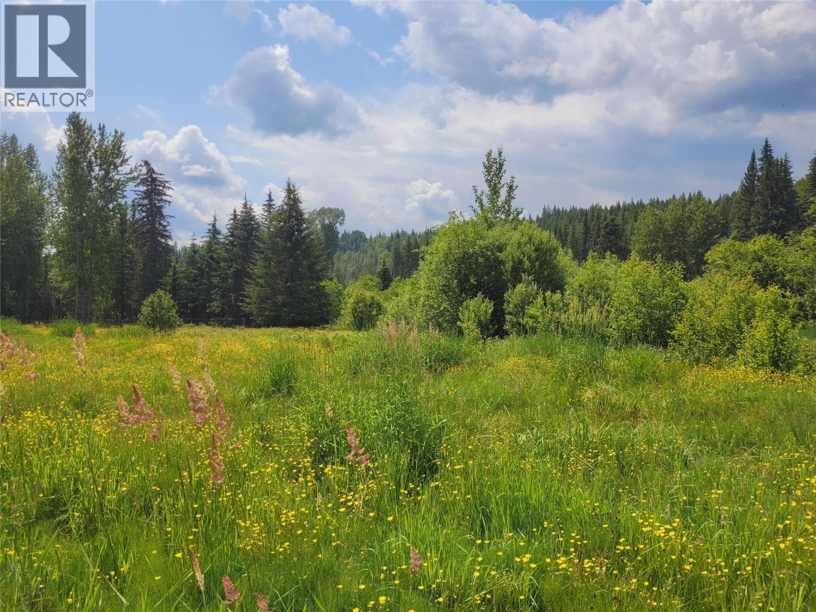 6177 TROUT CREEK ROAD - 35