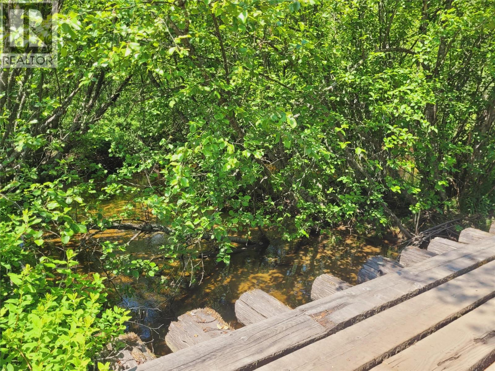 6177 TROUT CREEK ROAD - 39