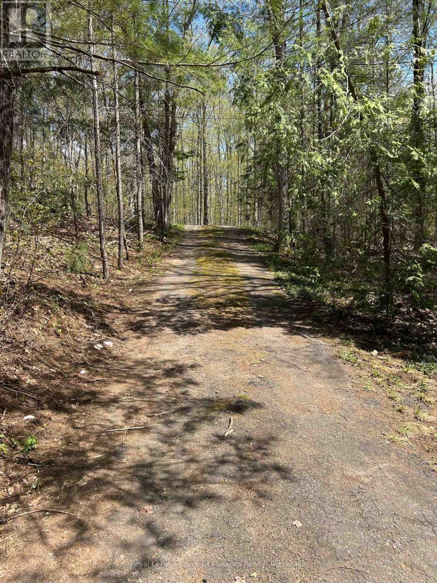 1091 NORTH TOOKE LAKE ROAD - 21