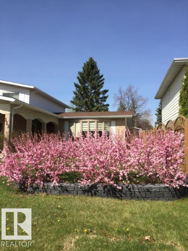 123 WESTRIDGE RD NW - 48