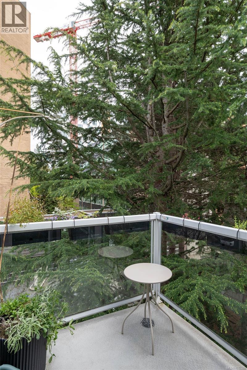 304 853 North Park Street, Victoria