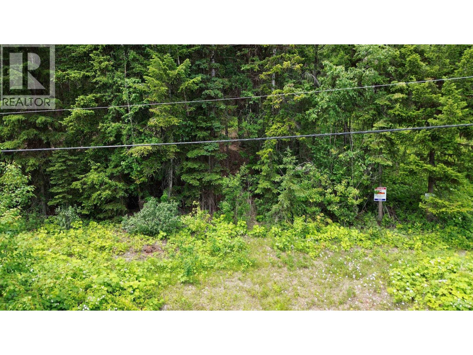 LOT A CANIM-HENDRIX LAKE ROAD — photo 3
