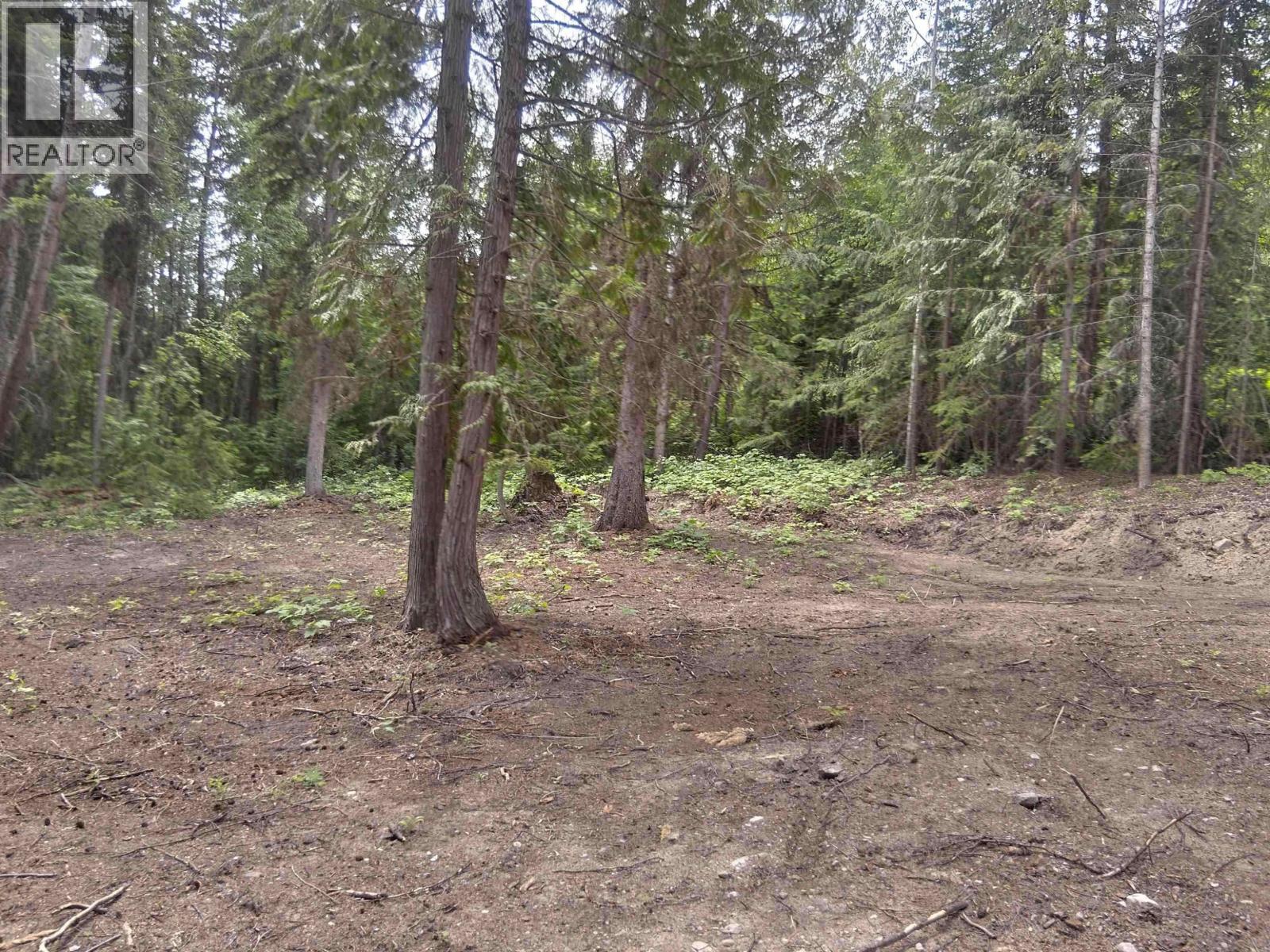 LOT A CANIM-HENDRIX LAKE ROAD — photo 20