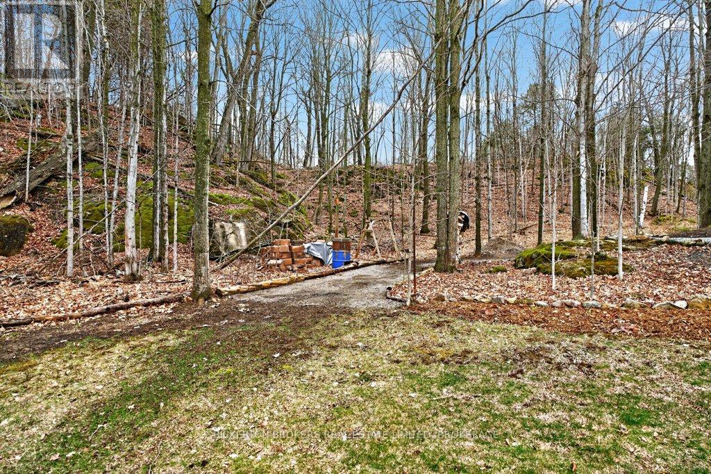 224 BIG HILL ROAD - 10