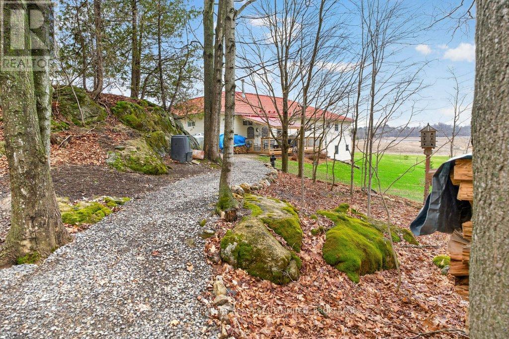 224 BIG HILL ROAD - 13