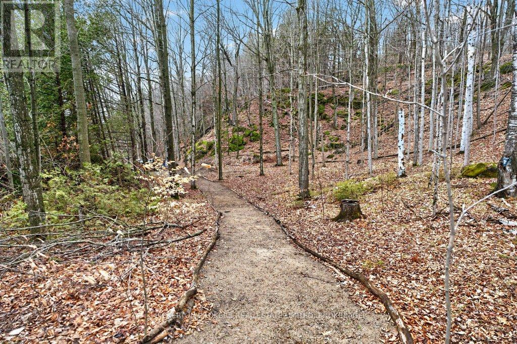 224 BIG HILL ROAD - 14
