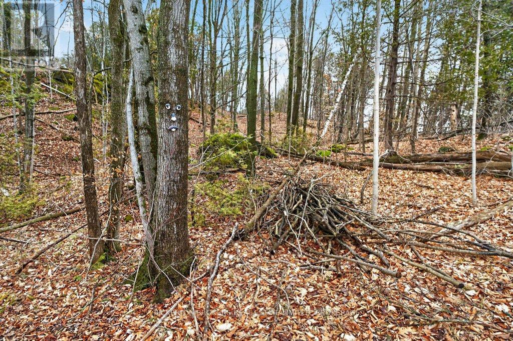 224 BIG HILL ROAD - 15