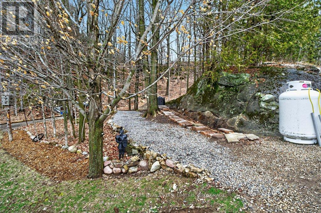 224 BIG HILL ROAD - 9