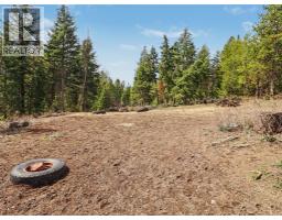 12050 3 Highway, Greenwood, BC V0H1J0 Photo 48