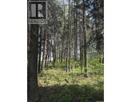 305 Spruce Road, Turtle Lake, SK S0M1J0 Photo 6