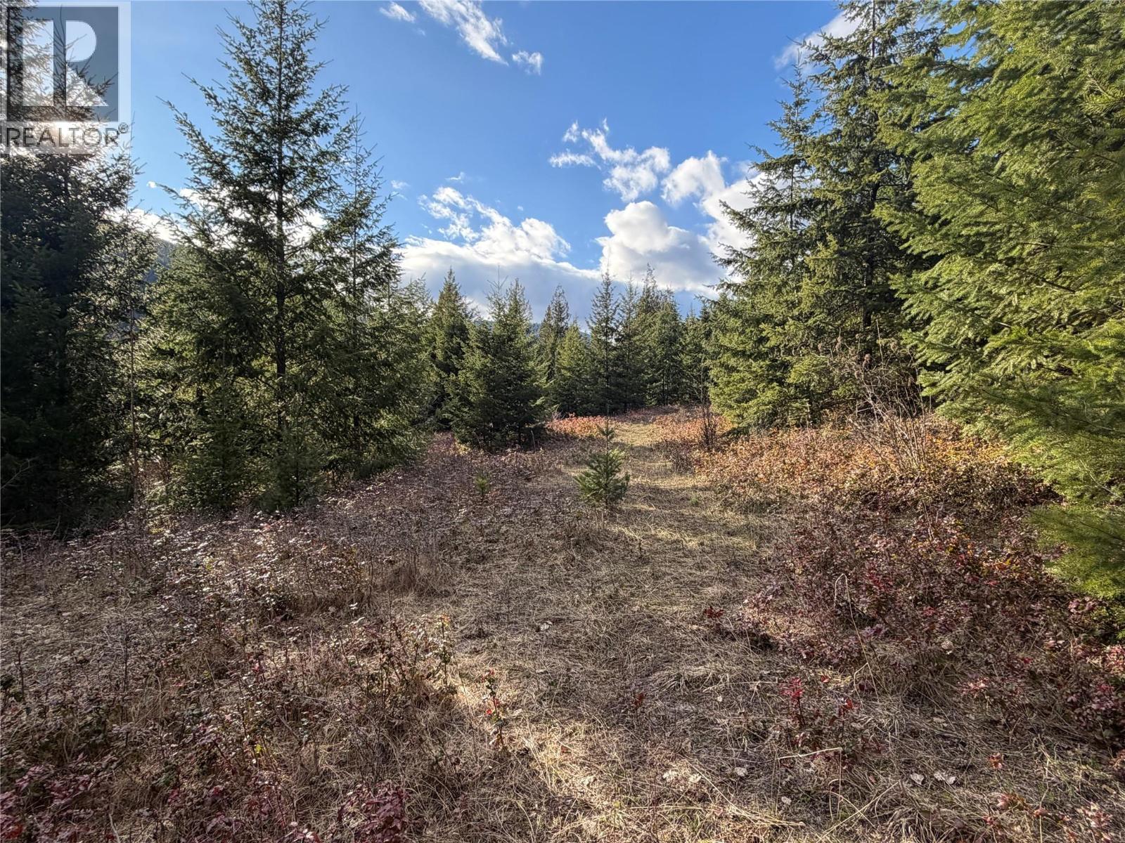 568 AGATE BAY ROAD - 30