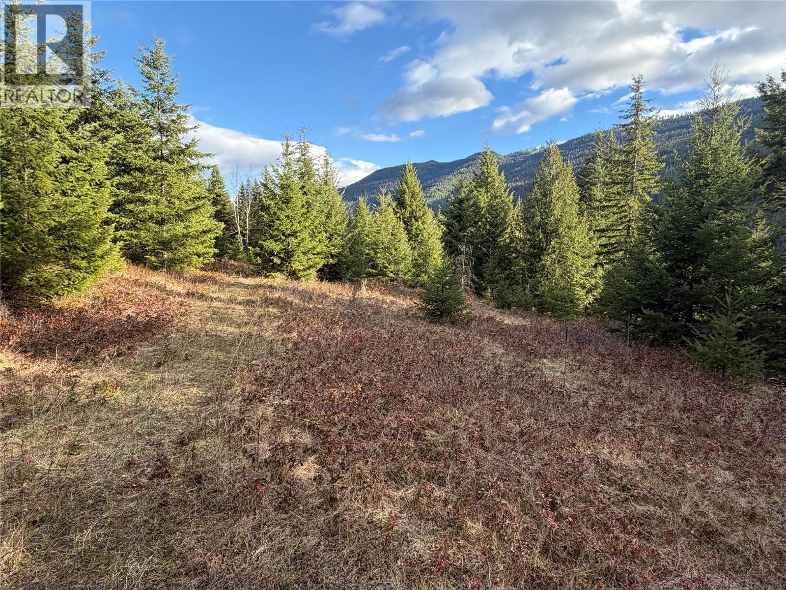 568 AGATE BAY ROAD - 32