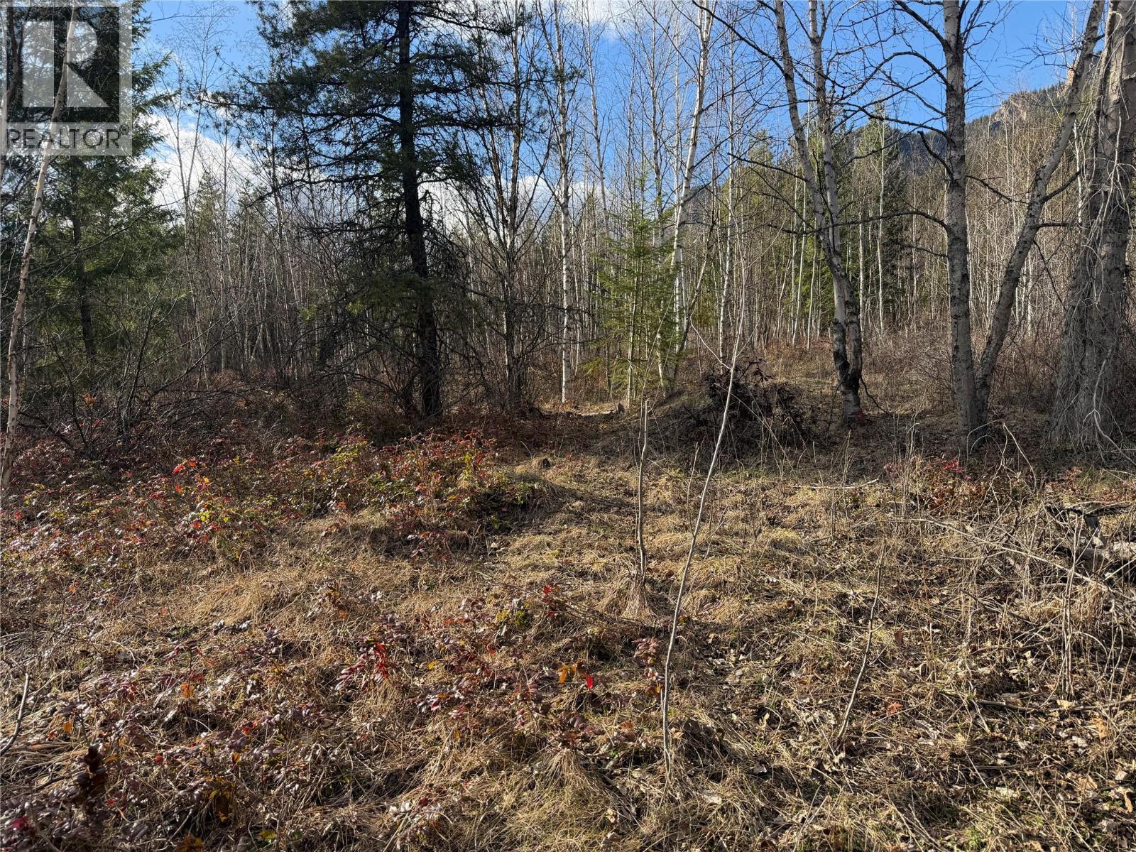 568 AGATE BAY ROAD - 22