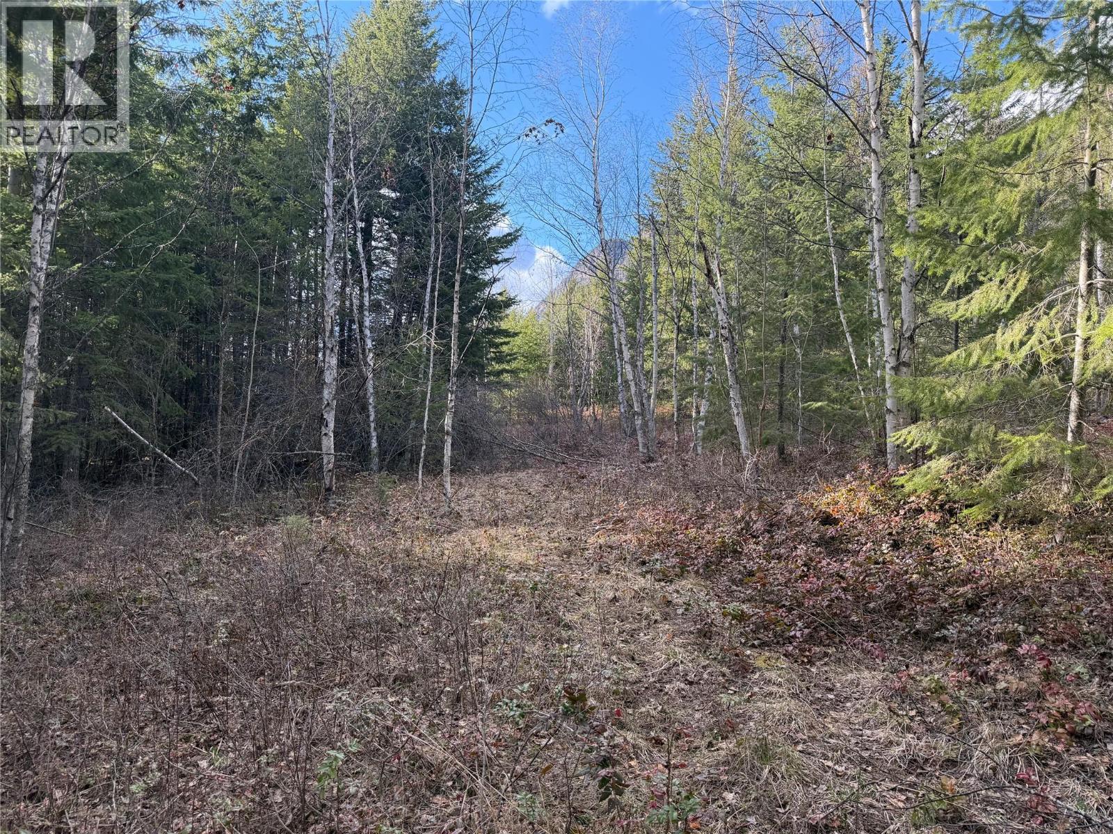 568 AGATE BAY ROAD - 27