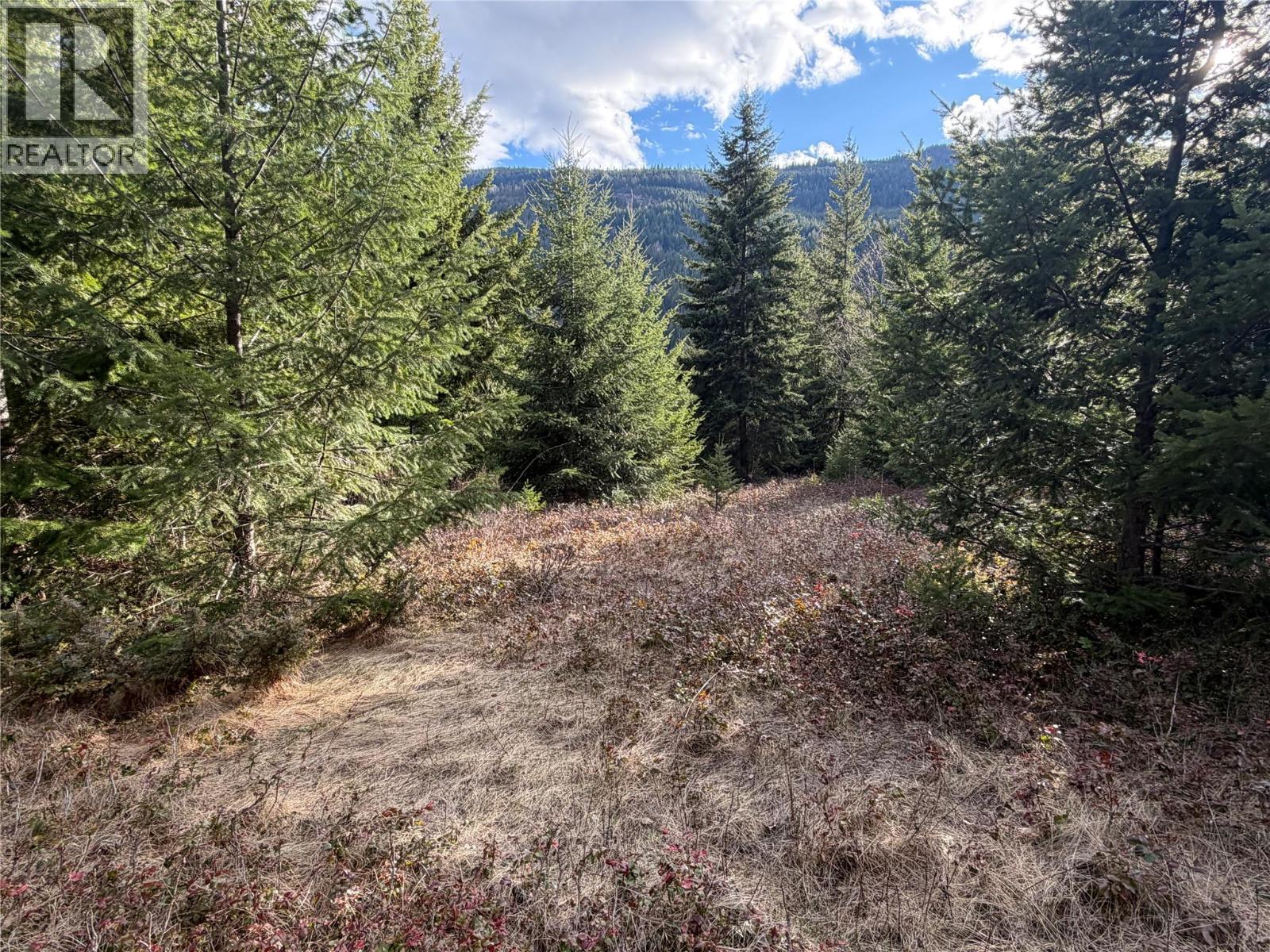 568 AGATE BAY ROAD - 31