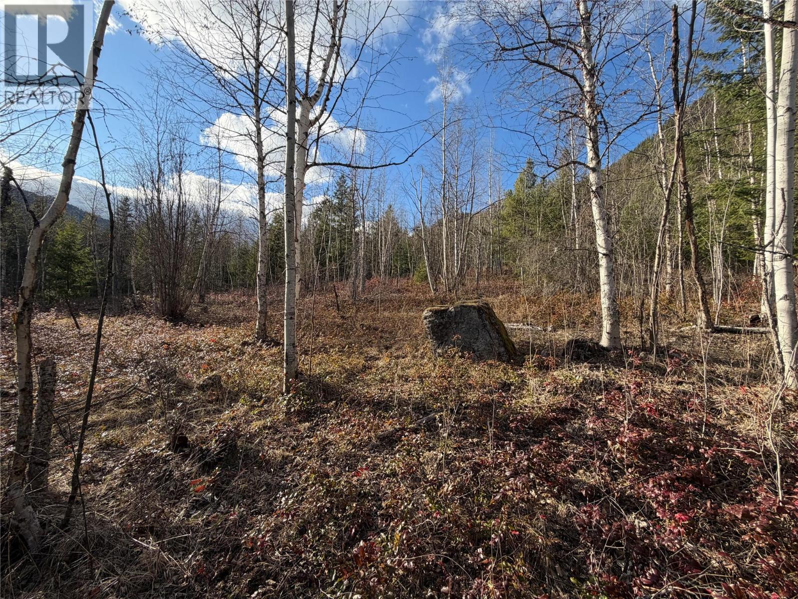 568 AGATE BAY ROAD - 33