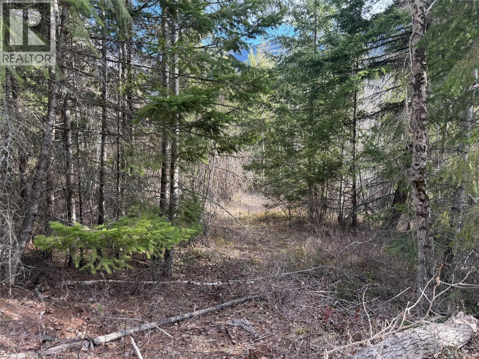 568 AGATE BAY ROAD - 17