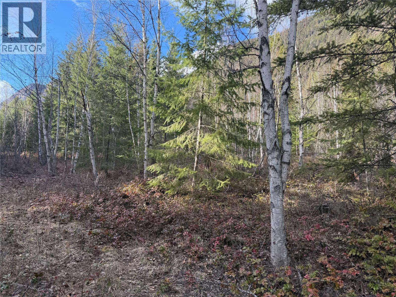 568 AGATE BAY ROAD - 28