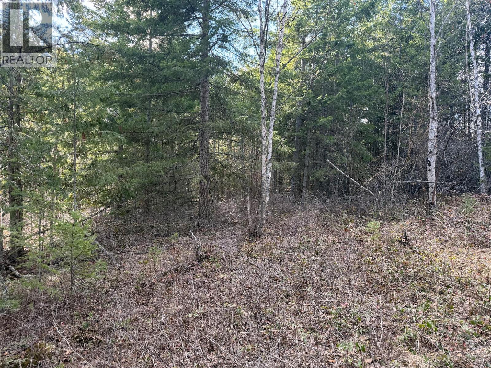 568 AGATE BAY ROAD - 29