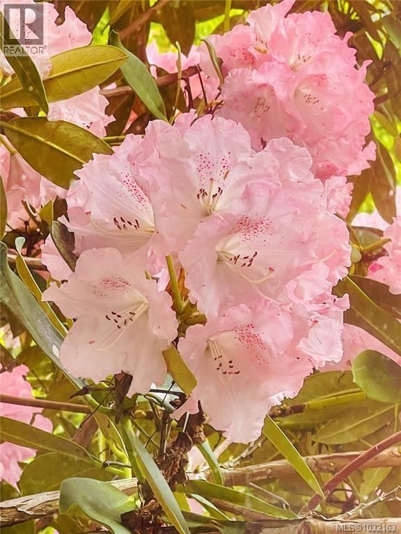 1763 MARATHON LANE - 45